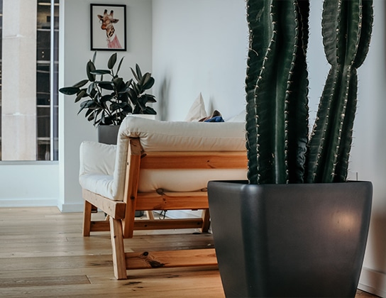 Sfeerbeeld van Ten Hag Bisterbosch in Apeldoorn